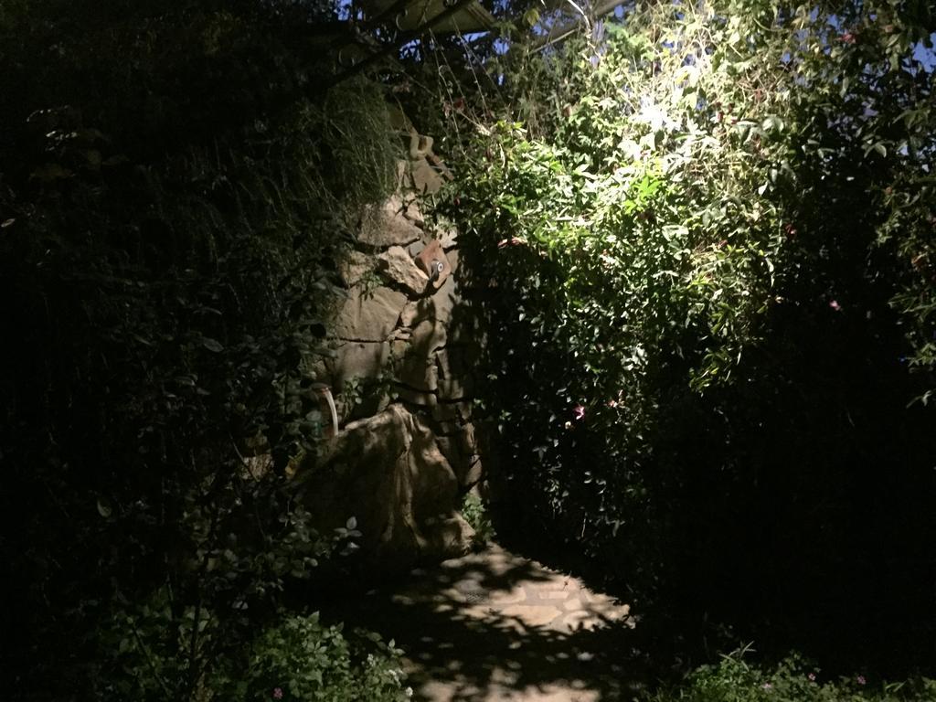 Villa Li Schisani 索伦托 外观 照片